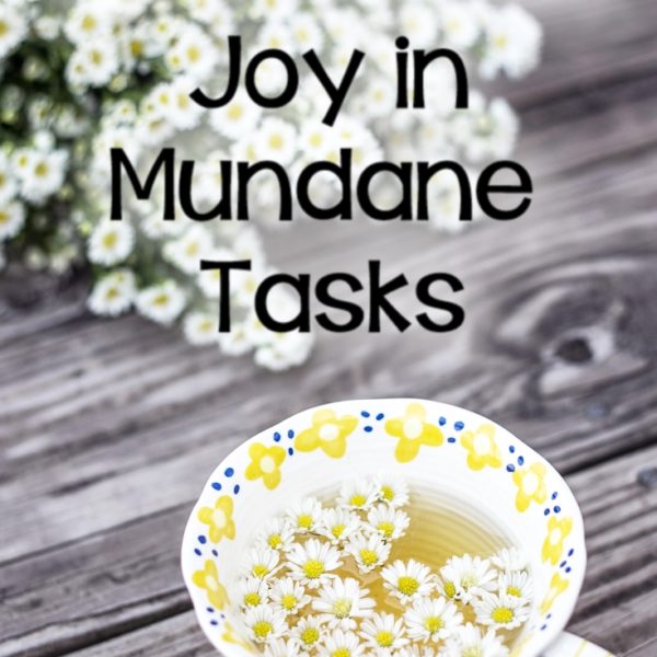 Finding Joy in the Mundane