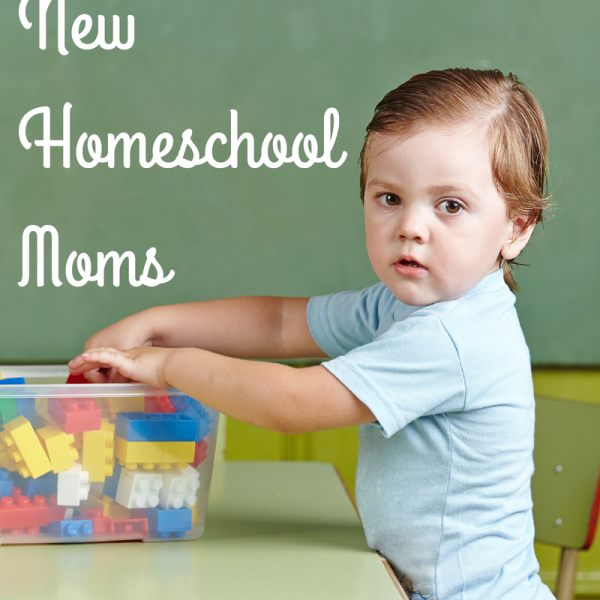{Guest Post} Do’s and Don’ts for New Homeschooling Moms